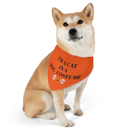 SarCATstic Pet Bandana Collar