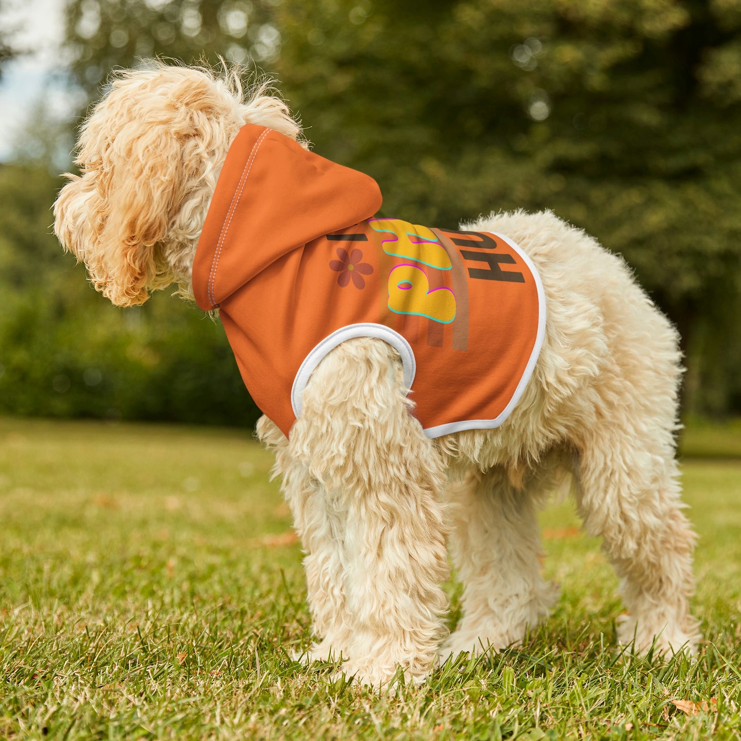 Dog Hoodie