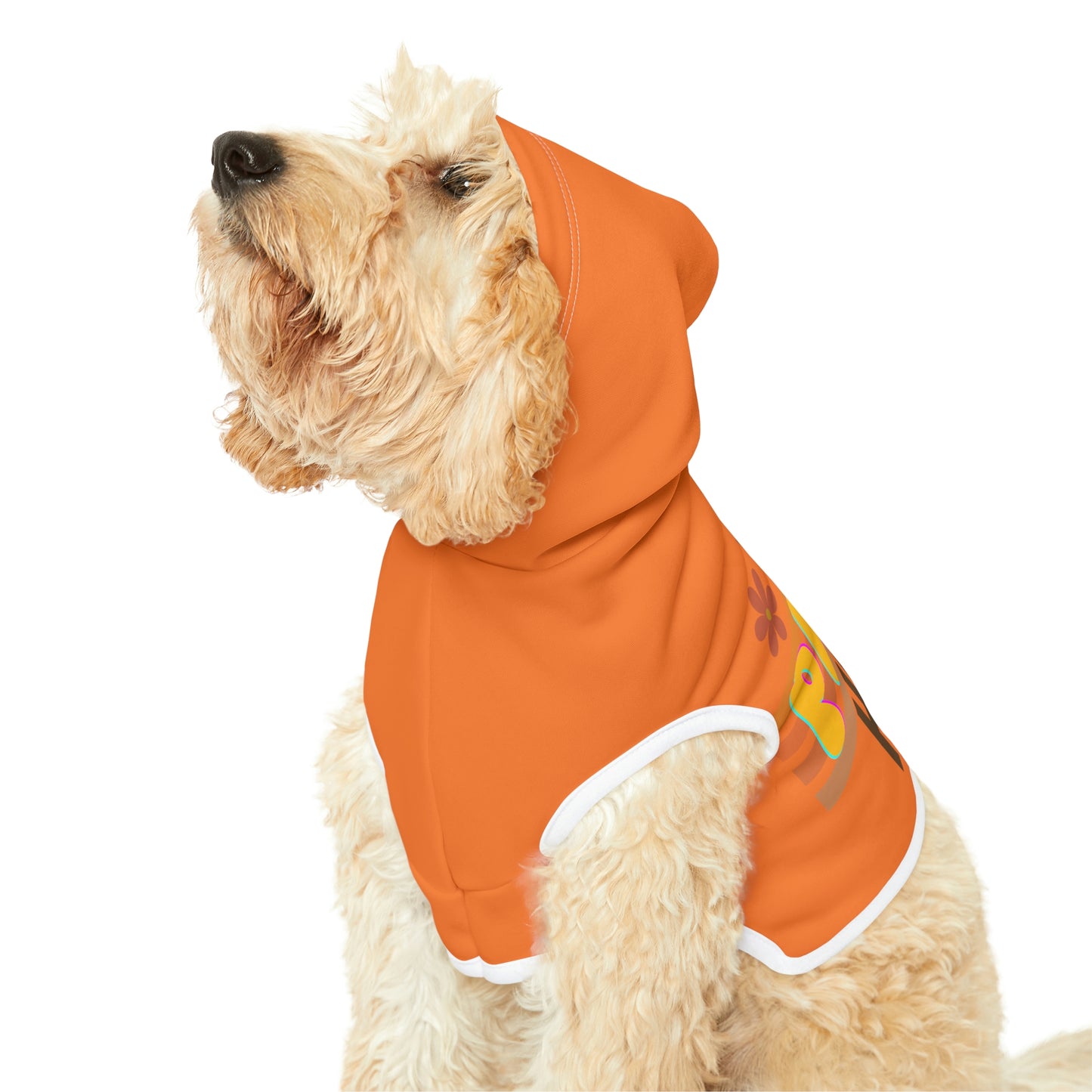 Dog Hoodie