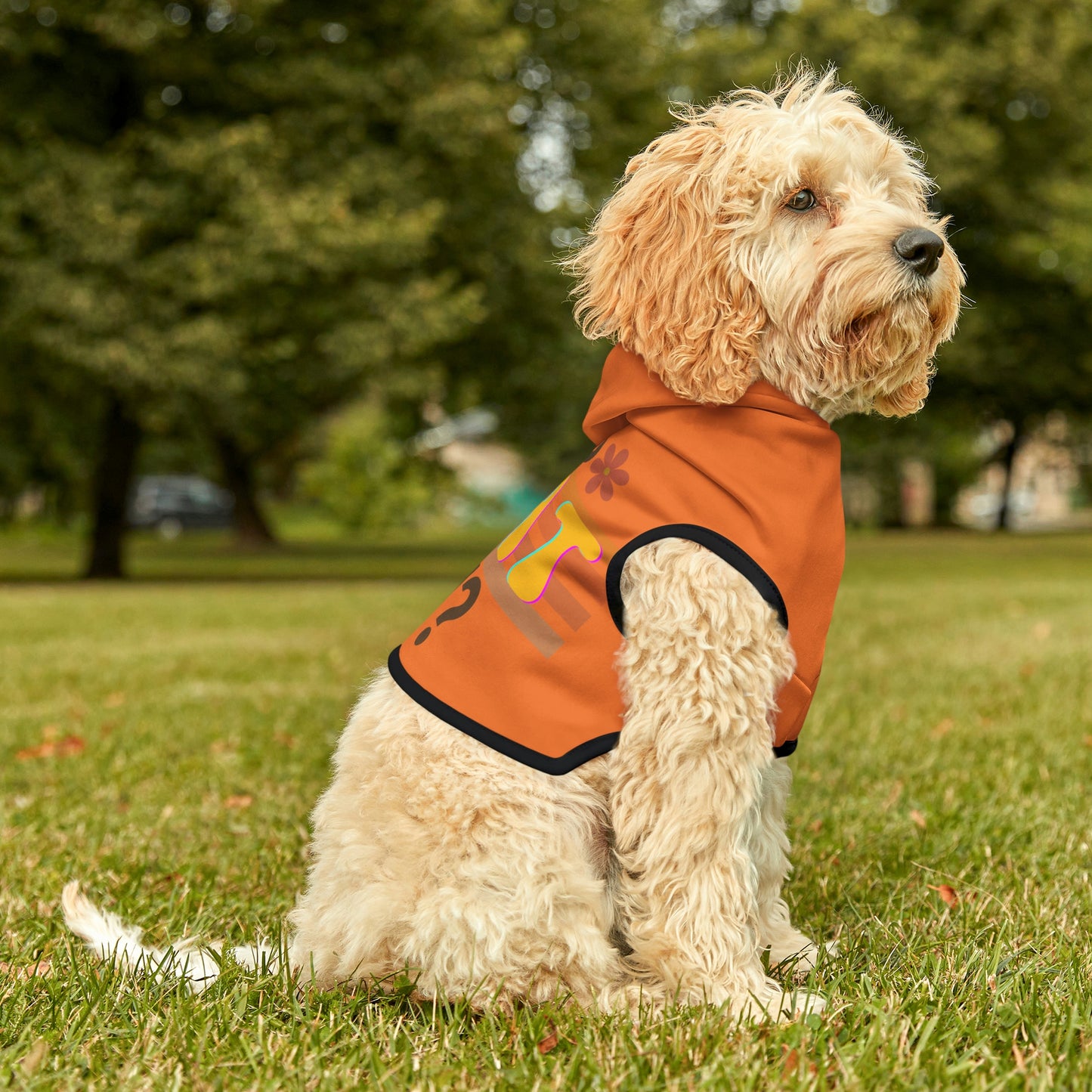 Dog Hoodie