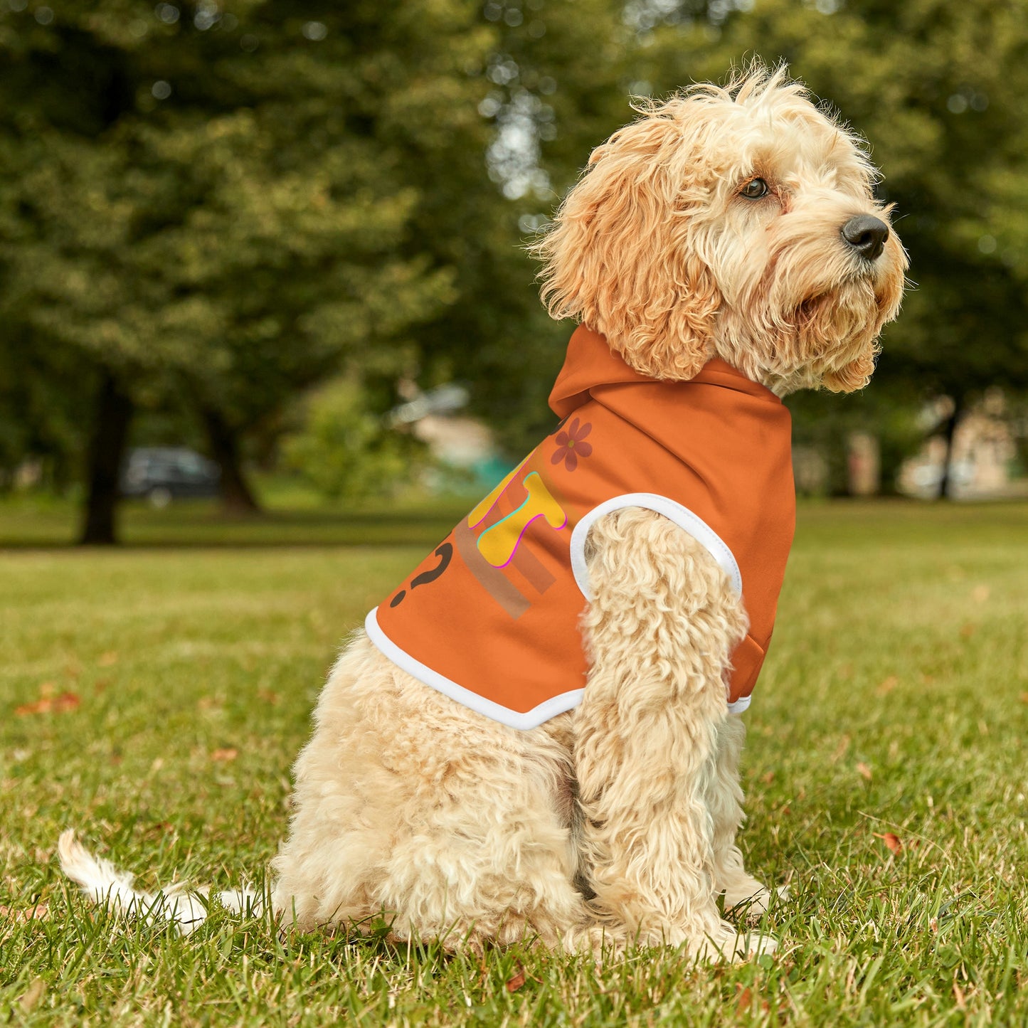 Dog Hoodie